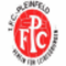 1. FC Pleinfeld