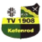 TV 08 Kefenrod