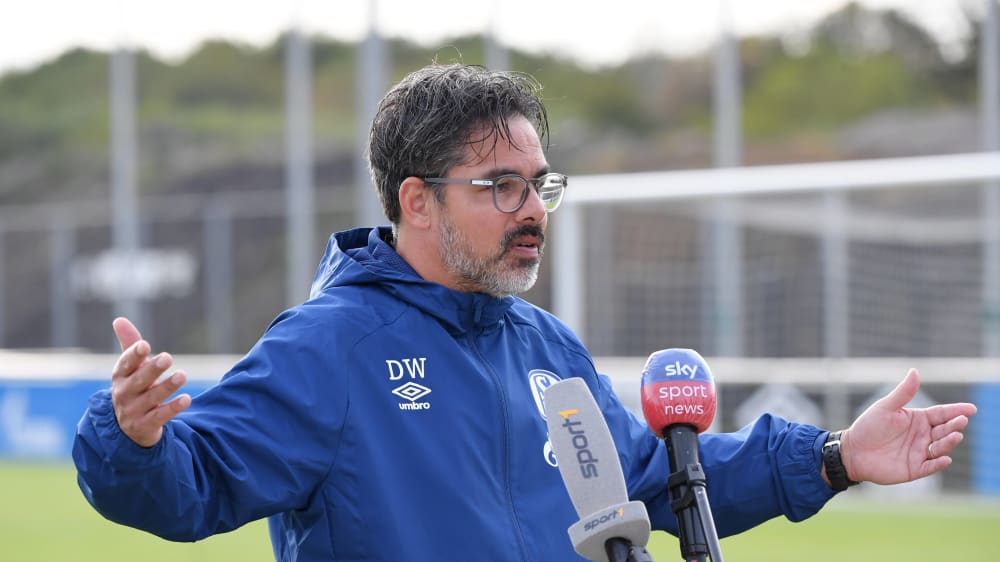 Dfb Sagt Schalkes Pokalpartie Ab Kicker