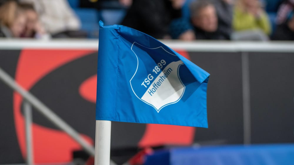 Wappen der TSG Hoffenheim