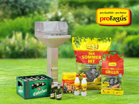 Pro Fagus Gewinnspiel 800 X 600 Px Logo