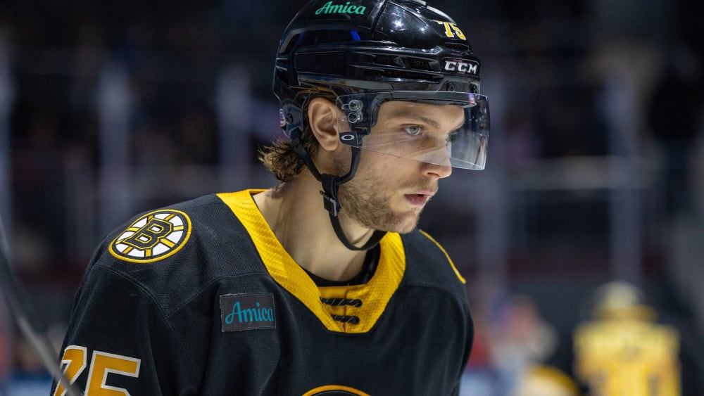 Transfermarkt-weiter-hei-Blues-holen-Fowler-aus-Anaheim