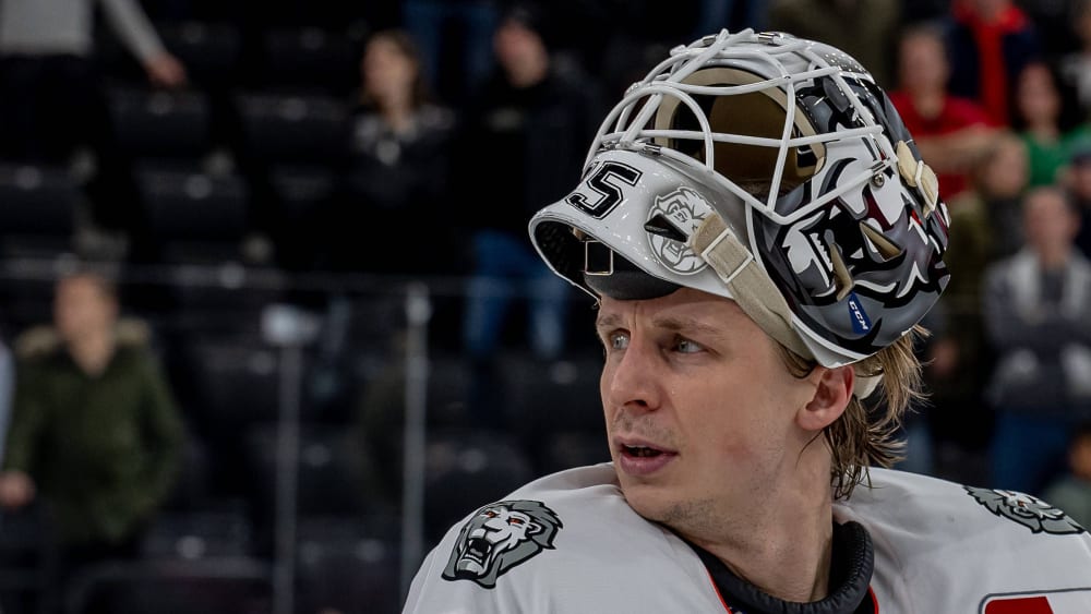 DEL-Ticker-Nach-Olkinuora-Verpflichtung-Hudacek-verl-sst-Dresden