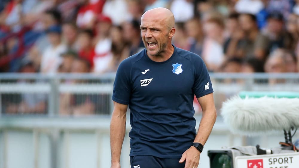 Kritisierte das Auftreten seiner Mannschaft: Hoffenheim-Coach Alfred Schreuder.