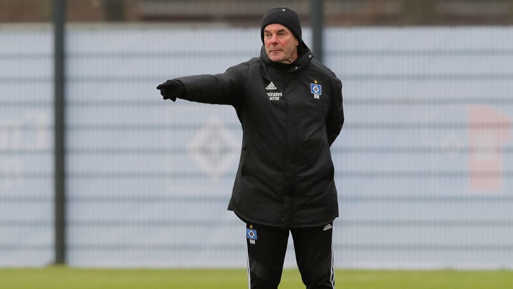 HSV-Coach Dieter Hecking