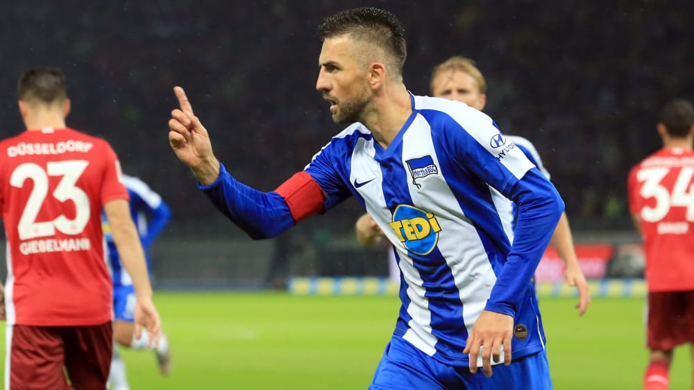 Vedad Ibisevic