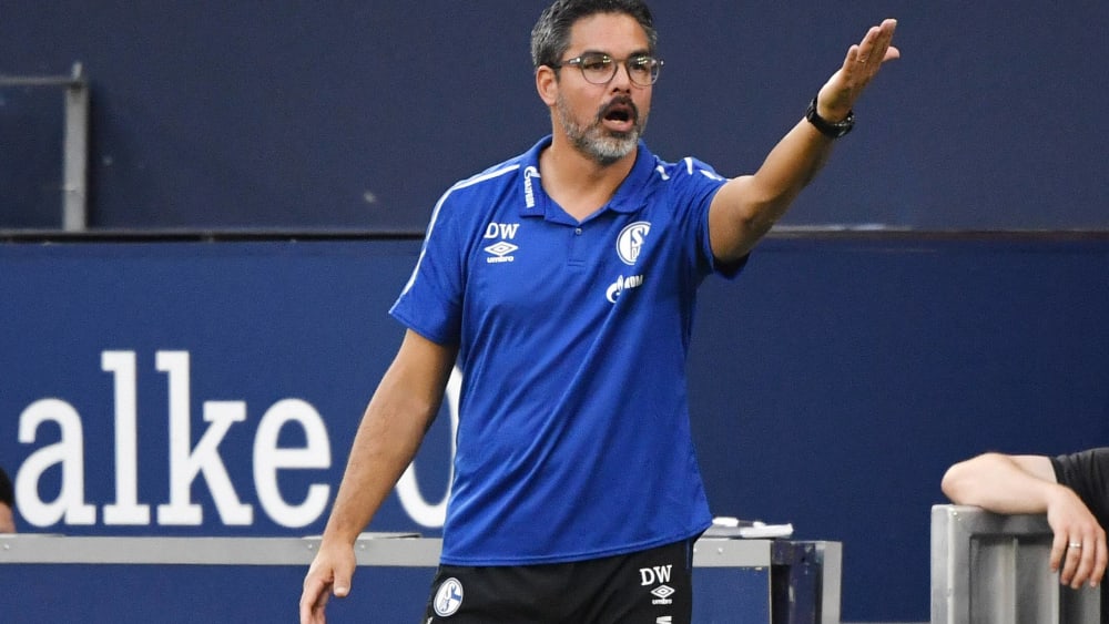 David Wagner