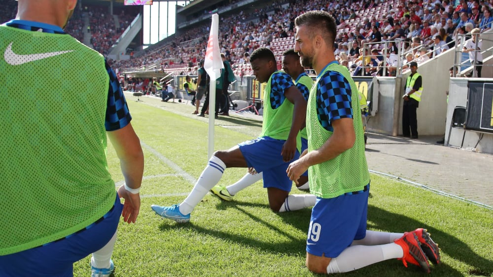 Vedad Ibisevic
