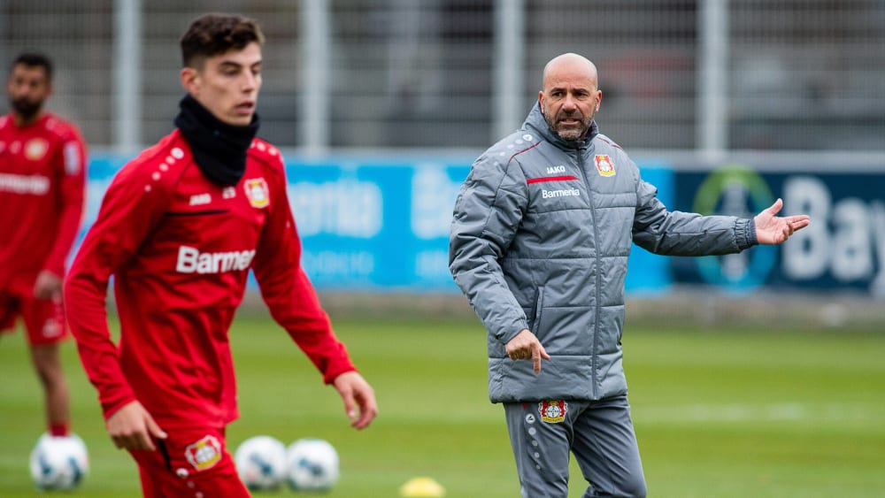 Peter Bosz