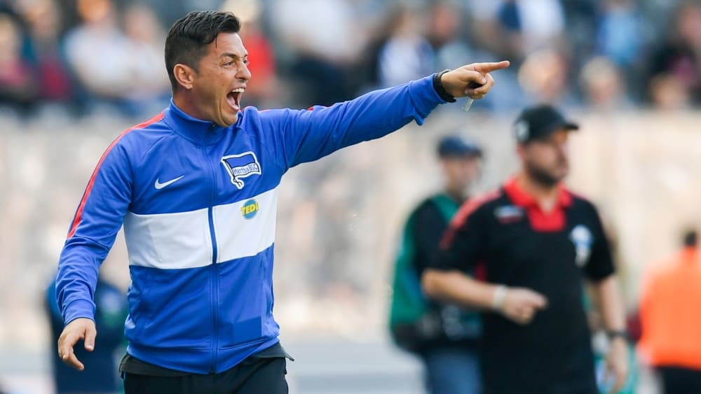 Ante Covic