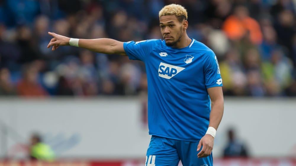 Joelinton Verhandlungen Mit Newcastle Bundesliga Kicker