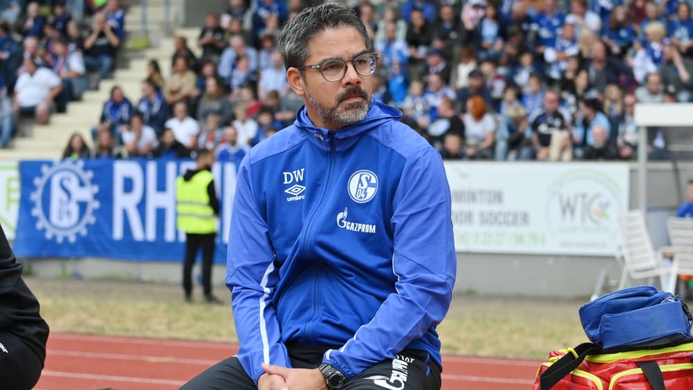 David Wagner