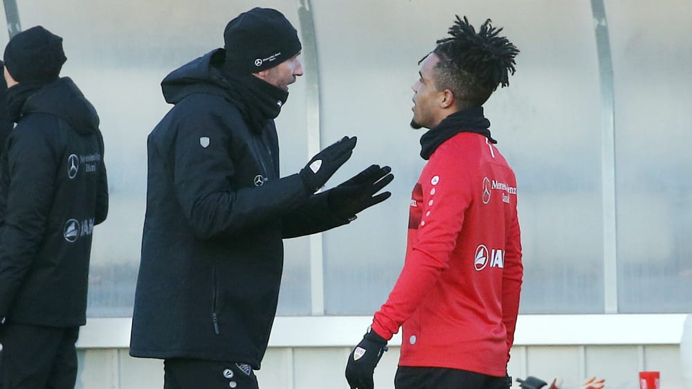 VfB-Trainer Tim Walter und Daniel Didavi