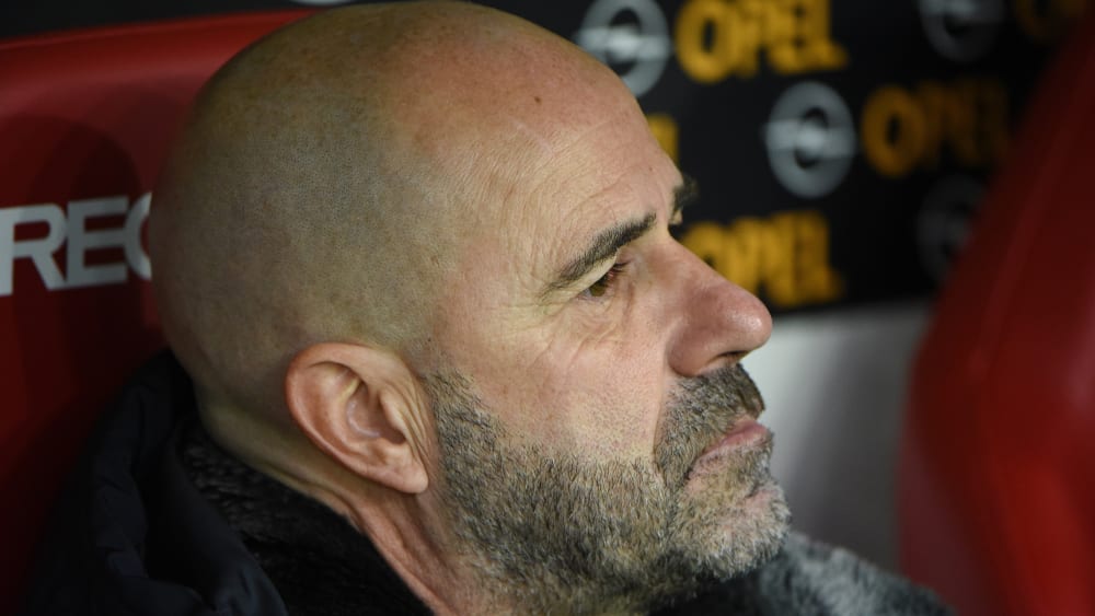 Peter Bosz