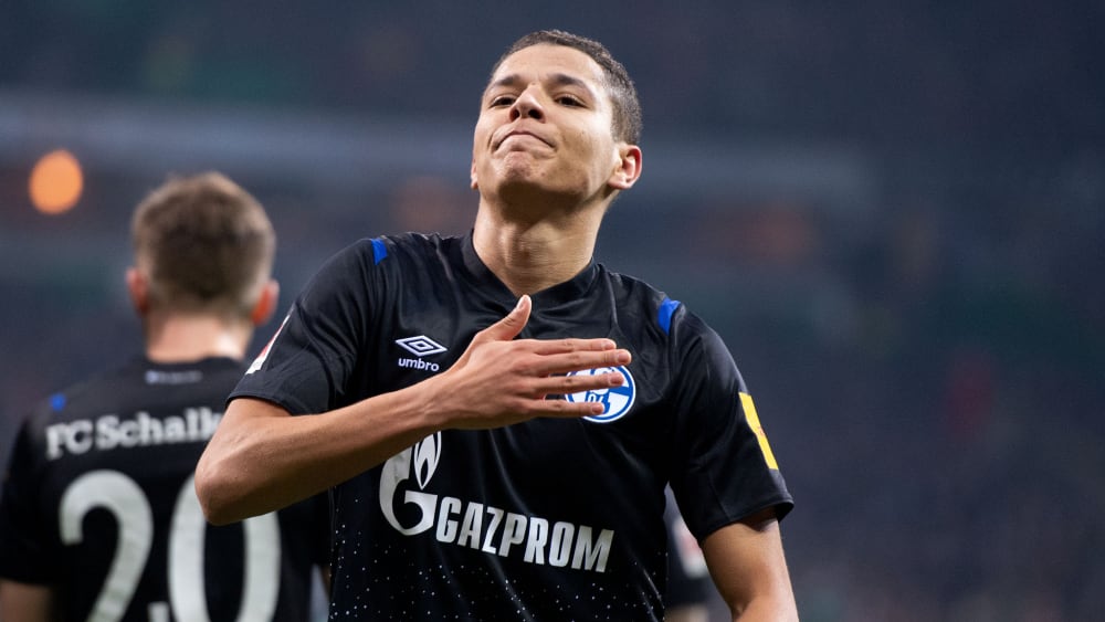 Amine Harit