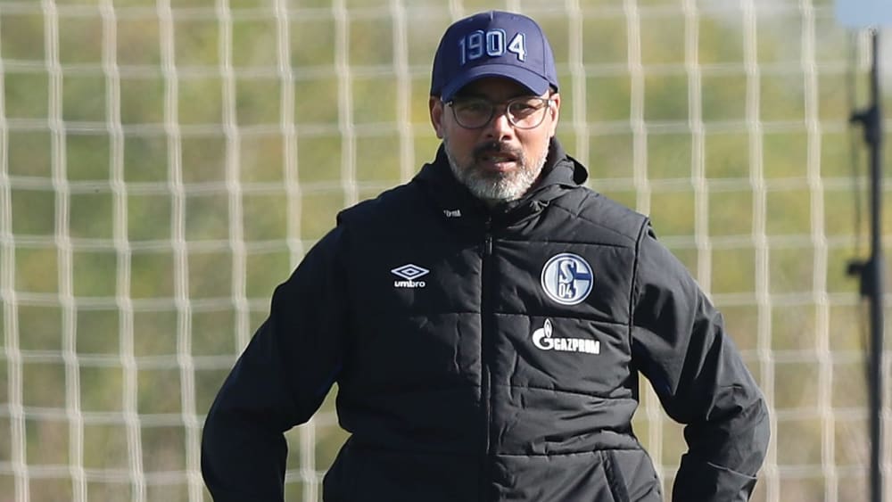 David Wagner